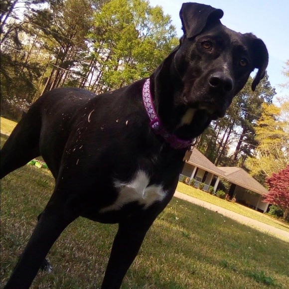 Meet your Posher, Erin & Hecate - Picture 14 of 16